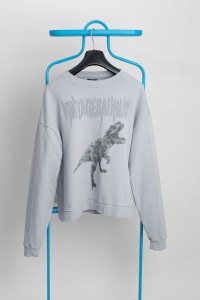 BLUZA VINTAGESAURUS grey sky